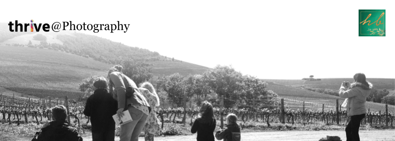 photography header (2)